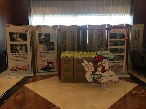 紅橋布標設計恒眾 一站式廣告工程解決方案專家